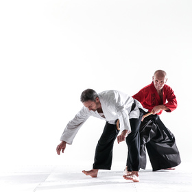Hapkido 5 — figure reference